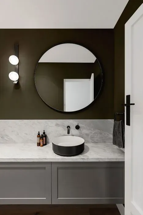 Sherwin Williams Roycroft Bronze Green minimalist bathroom