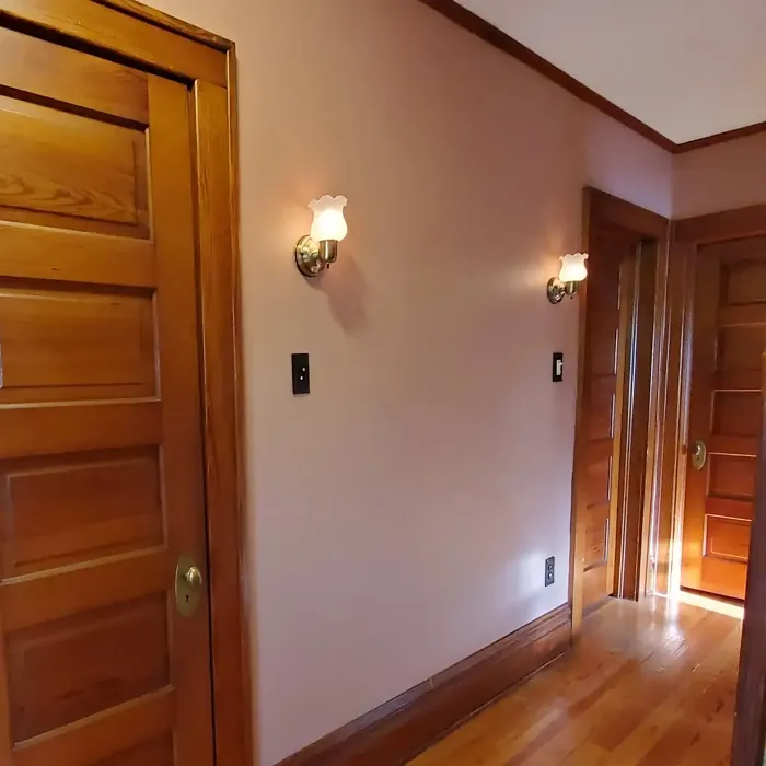 SW Roycroft Rose hallway paint