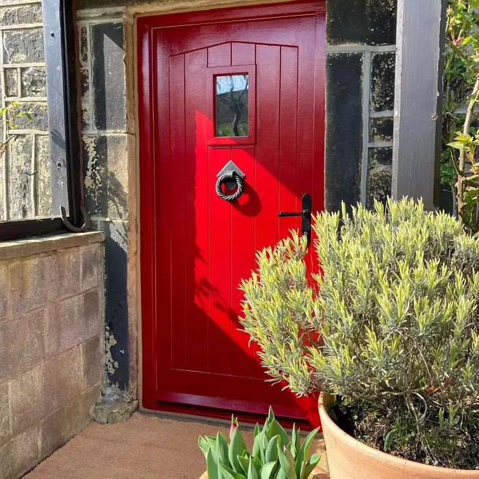 RAL 3003 front door color review