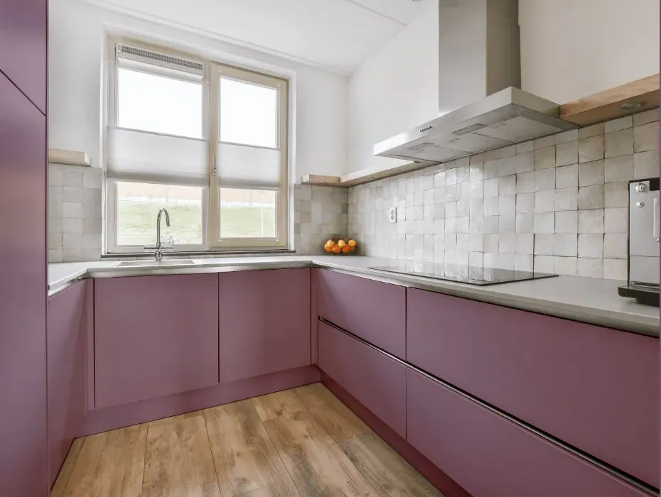 Sherwin Williams Ruby Violet small kitchen cabinets