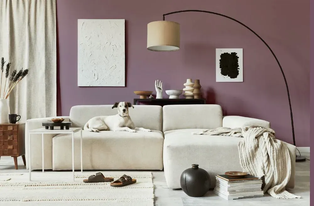 Sherwin Williams Ruby Violet cozy living room