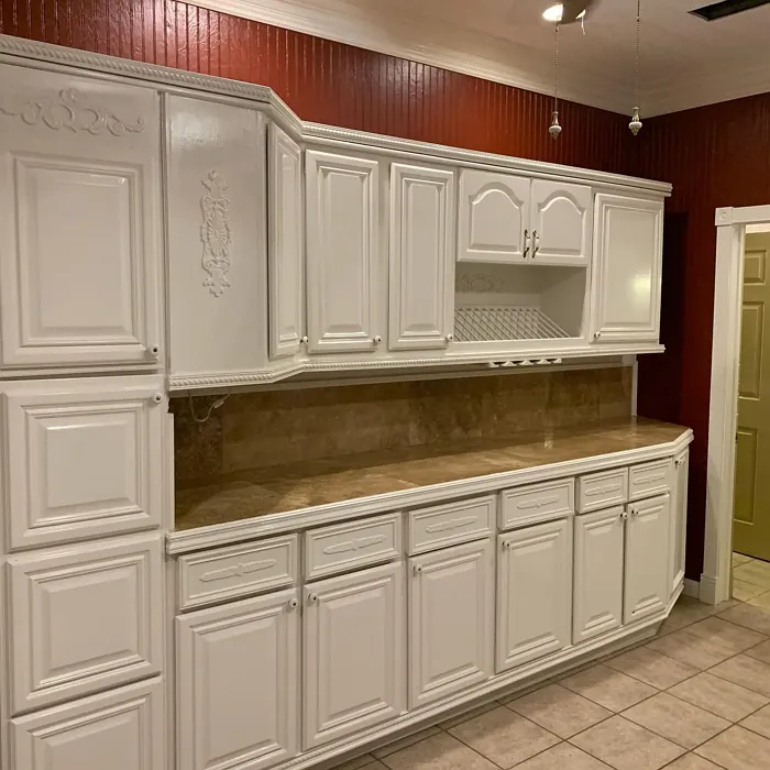 Sherwin Williams Rustic Red kitchen paint