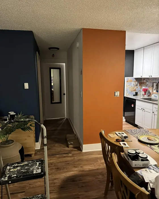 Behr Rusty Gate wall paint accent wall