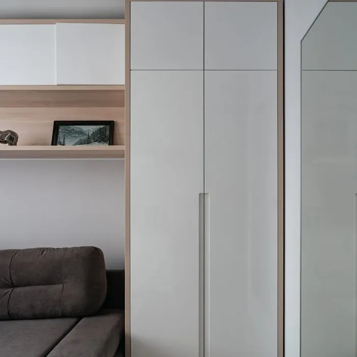 NCS S 0300-N painted cabinets color