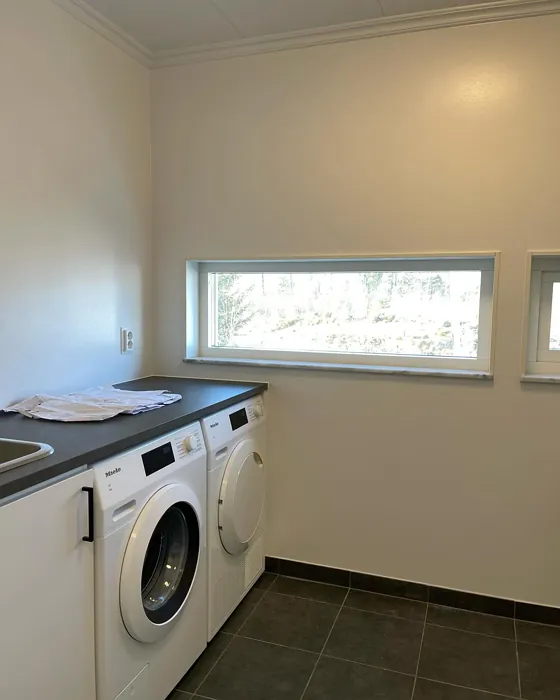 S 0502-Y laundry room color