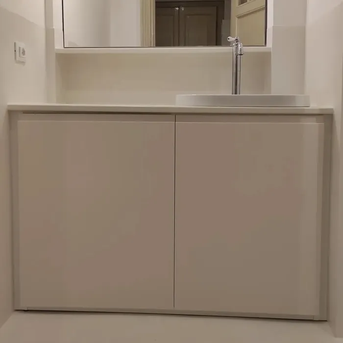 NCS S 0502-Y50R bathroom vanity color