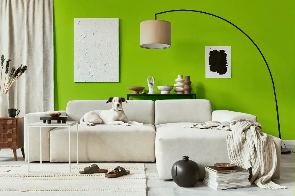 NCS S 0575-G40Y cozy living room