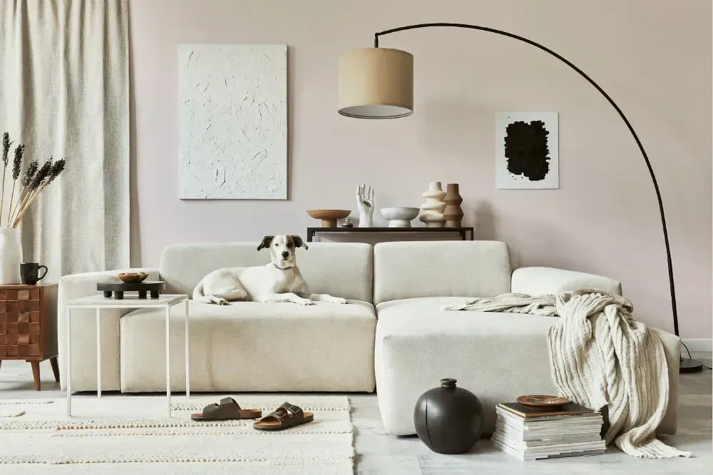 NCS S 0804-Y90R cozy living room