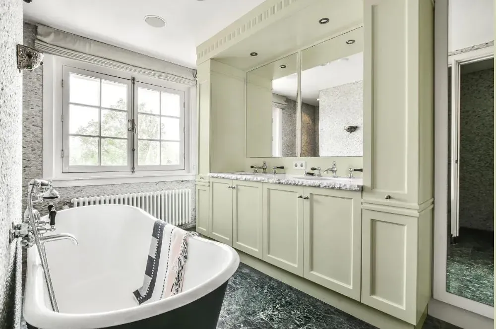 NCS S 0907-G60Y victorian bathroom paint