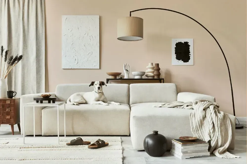 NCS S 0907-Y50R cozy living room