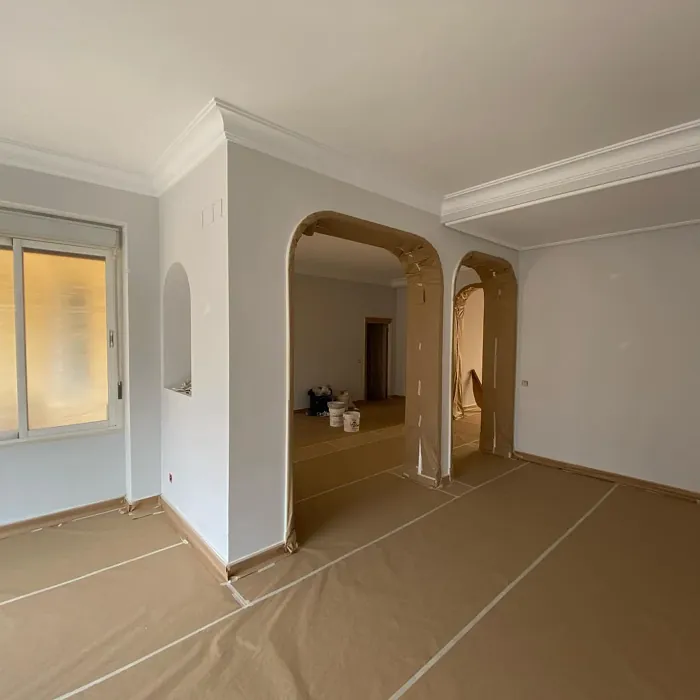 NCS S 1000-N wall paint color