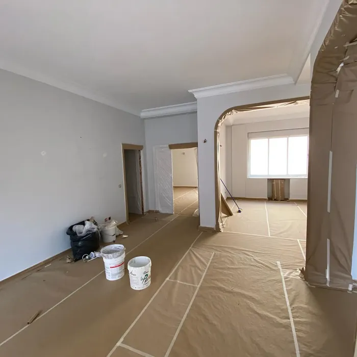 NCS S 1000-N wall paint 