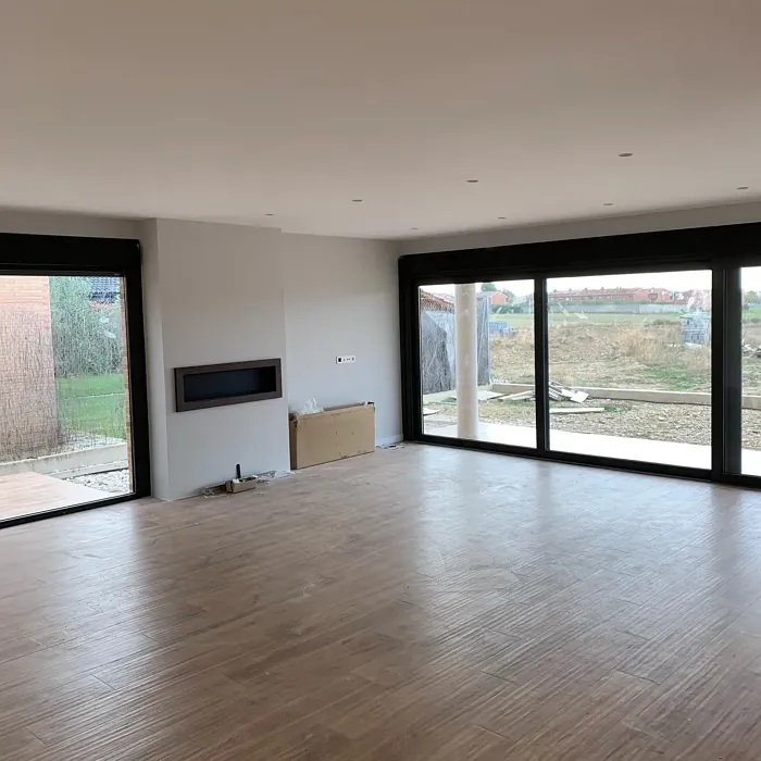 NCS S 1000-N living room color