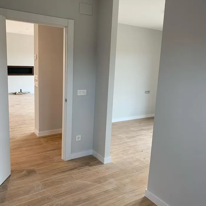 NCS S 1000-N hallway paint review