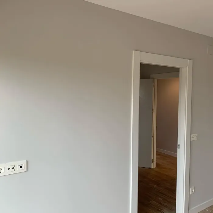 NCS S 1000-N wall paint color review