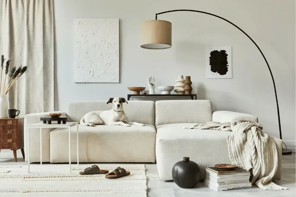 NCS S 1001-Y cozy living room