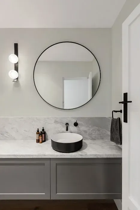 NCS S 1002-G50Y minimalist bathroom