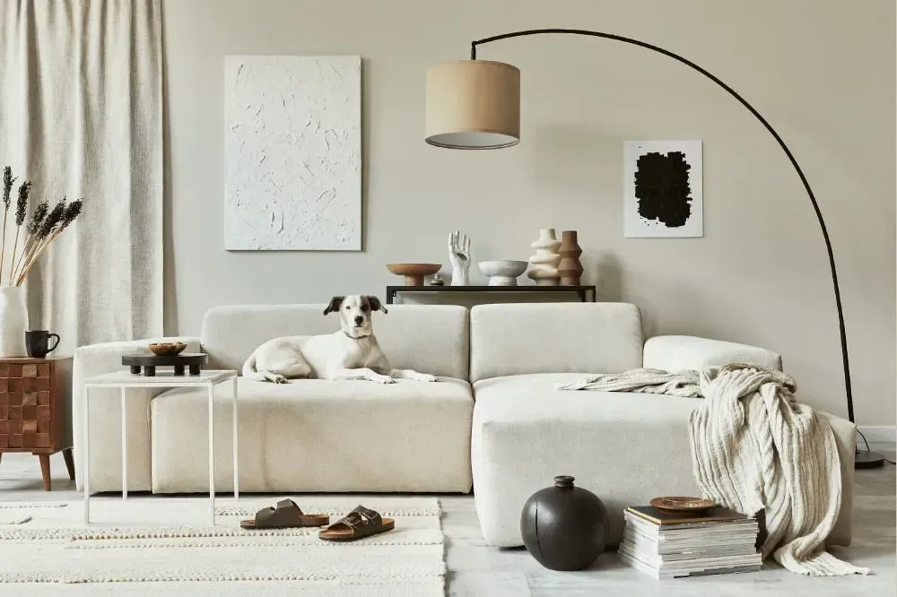 NCS S 1002-Y cozy living room