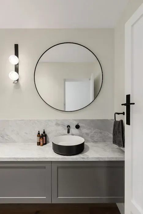 NCS S 1002-Y20R minimalist bathroom