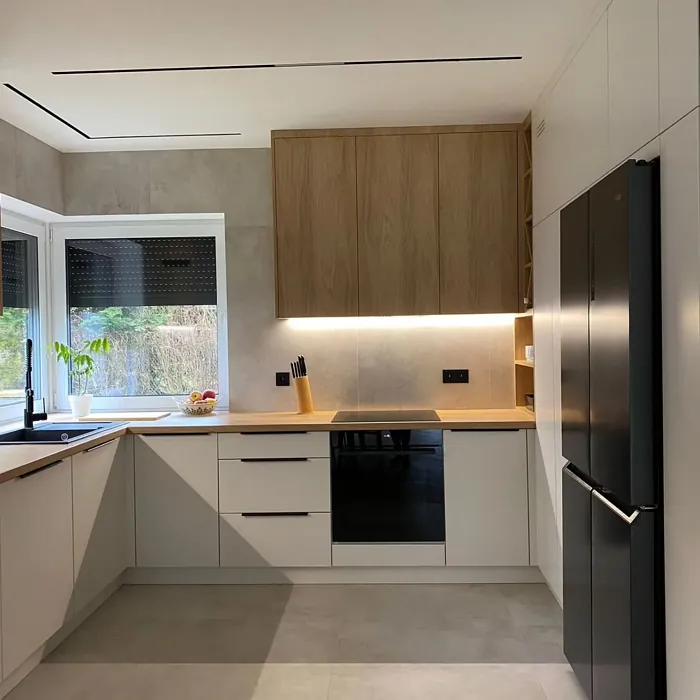 NCS S 1002-Y20R kitchen cabinets paint