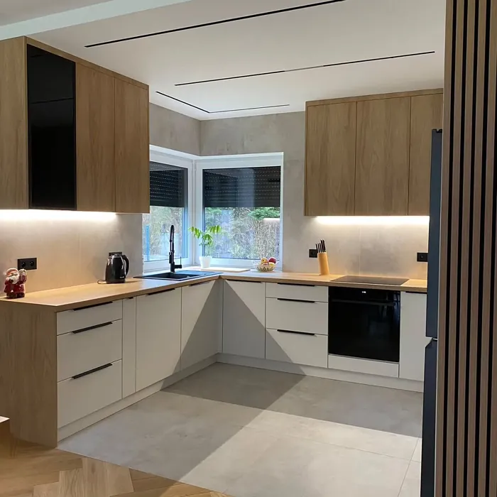 S 1002-Y20R kitchen cabinets 