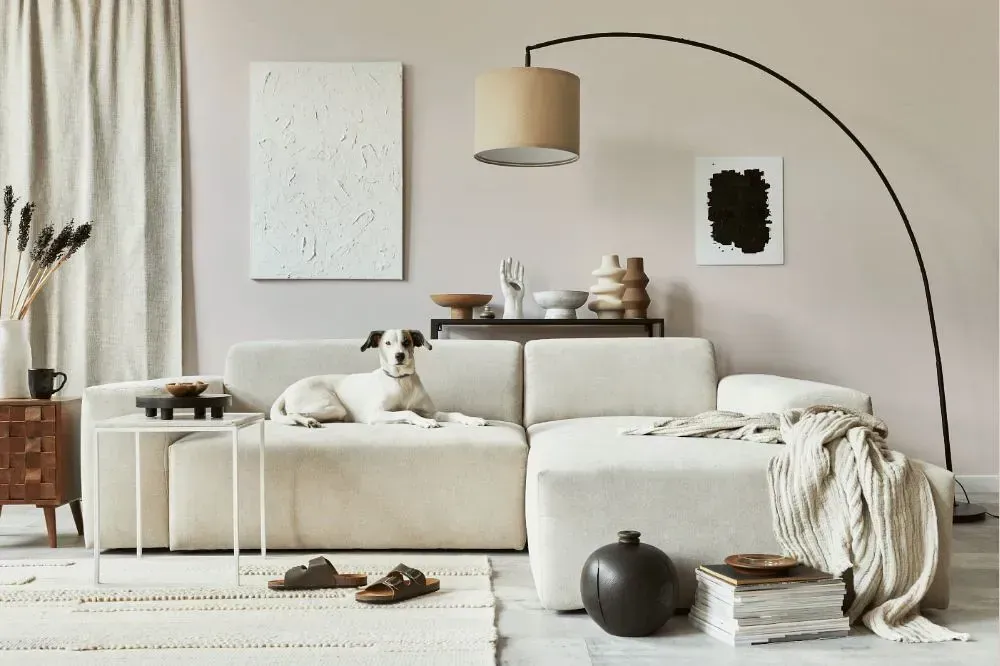 NCS S 1002-Y50R cozy living room