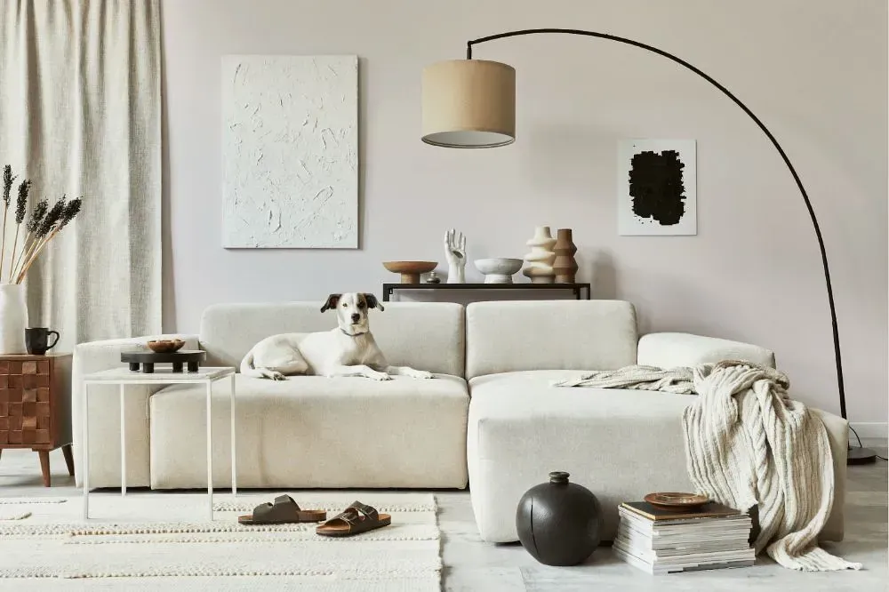 NCS S 1002-Y80R cozy living room