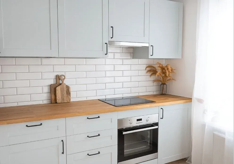 NCS S 1005-B kitchen cabinets