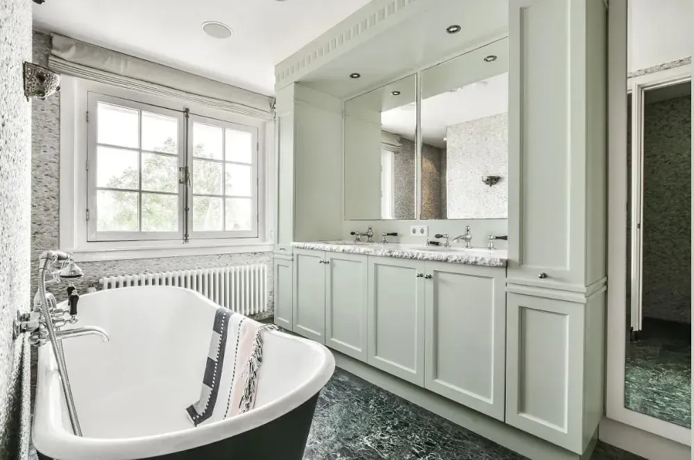 NCS S 1005-G30Y victorian bathroom paint