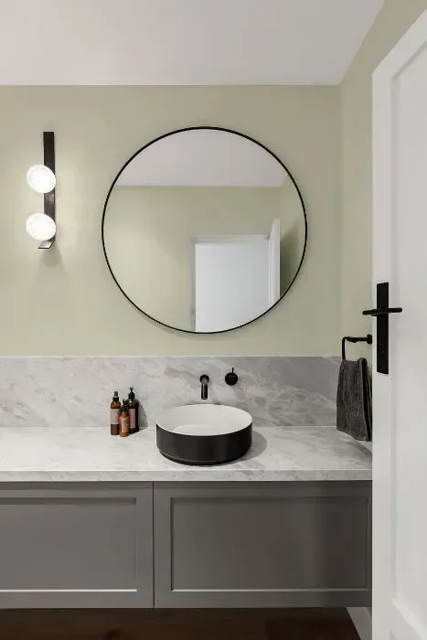 NCS S 1005-G50Y minimalist bathroom