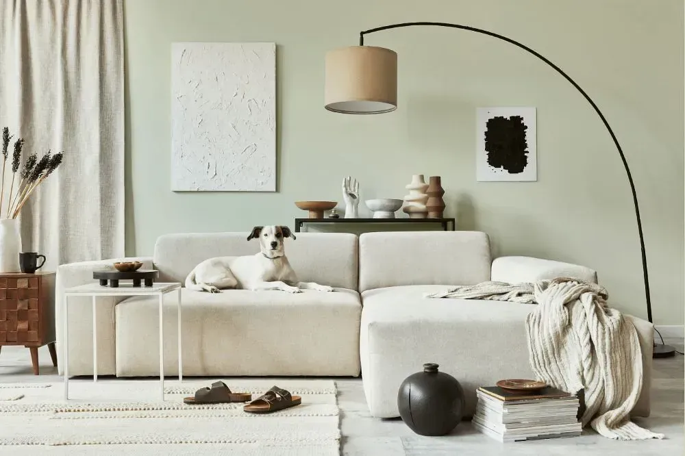 NCS S 1005-G60Y cozy living room