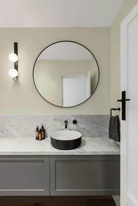 NCS S 1005-G70Y minimalist bathroom