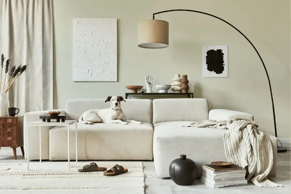 NCS S 1005-G80Y cozy living room