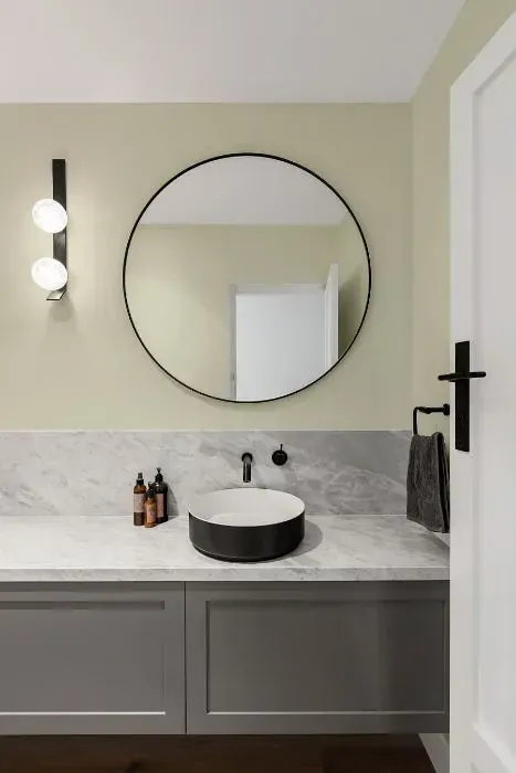 NCS S 1005-G90Y minimalist bathroom