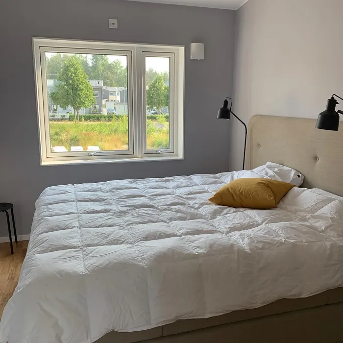 NCS S 1005-R50B bedroom color