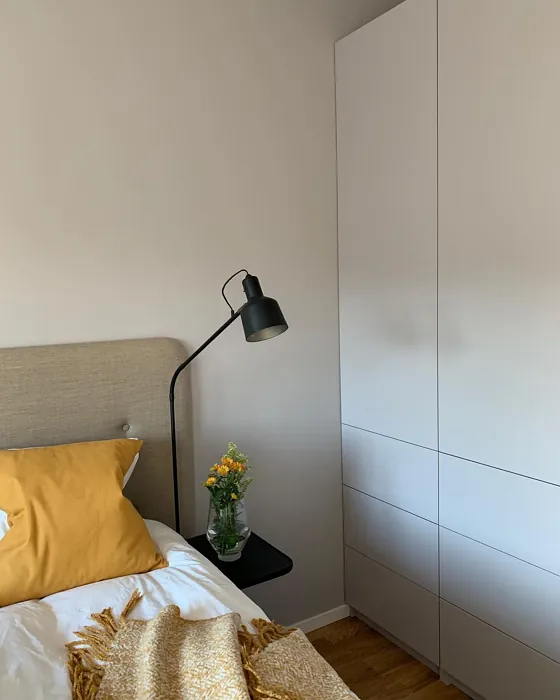 NCS S 1005-R50B bedroom paint