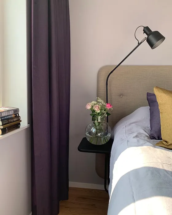 S 1005-R50B bedroom paint