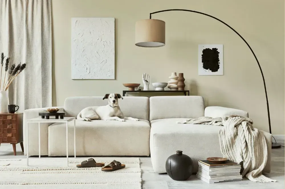 NCS S 1005-Y cozy living room