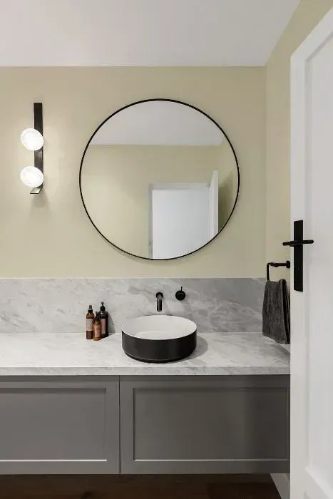 NCS S 1005-Y minimalist bathroom
