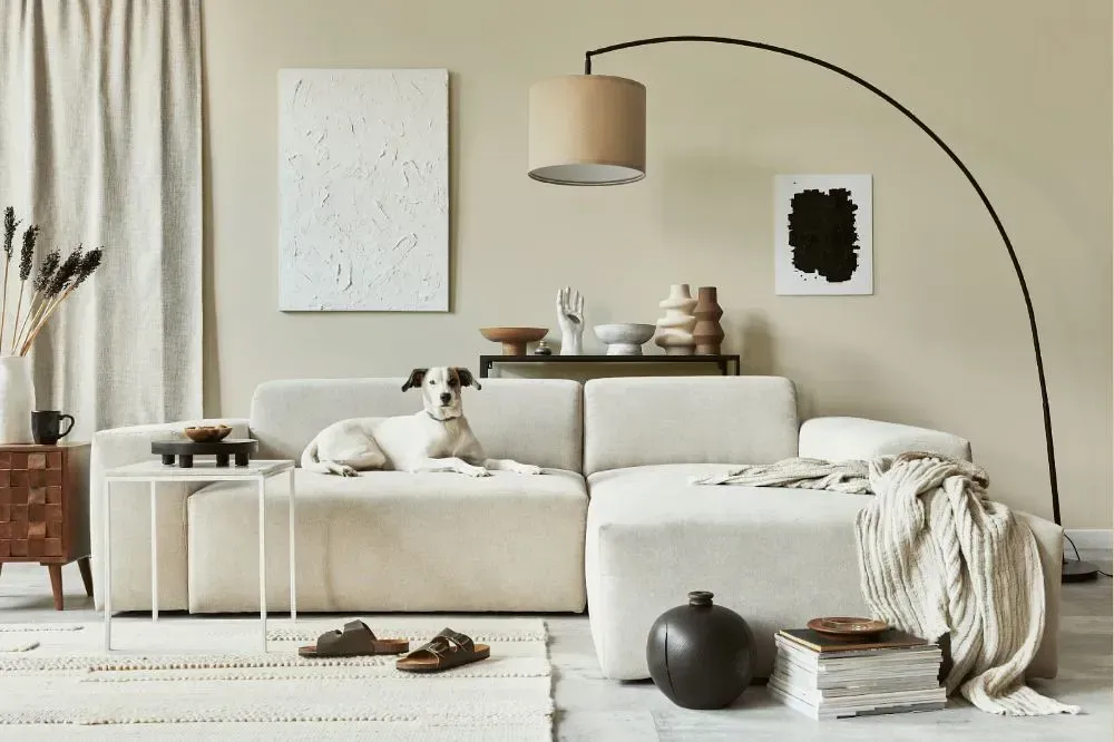 NCS S 1005-Y10R cozy living room