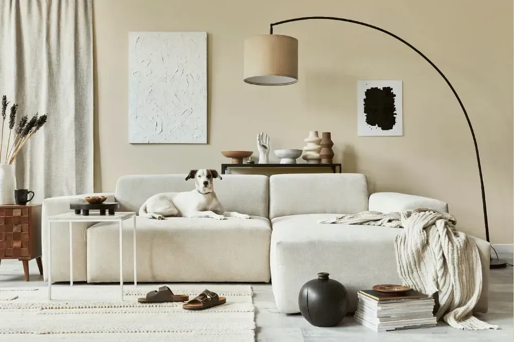 NCS S 1005-Y20R cozy living room