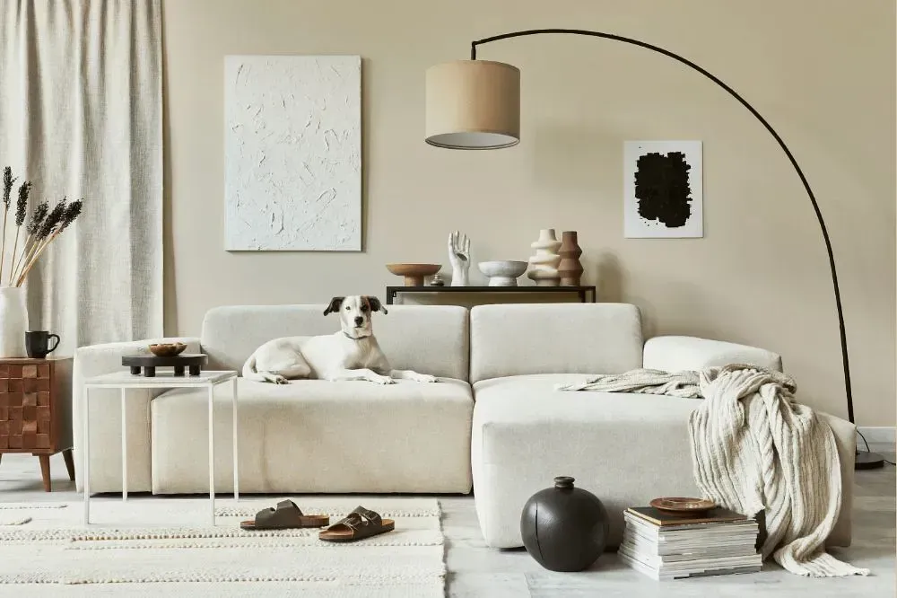 NCS S 1005-Y30R cozy living room