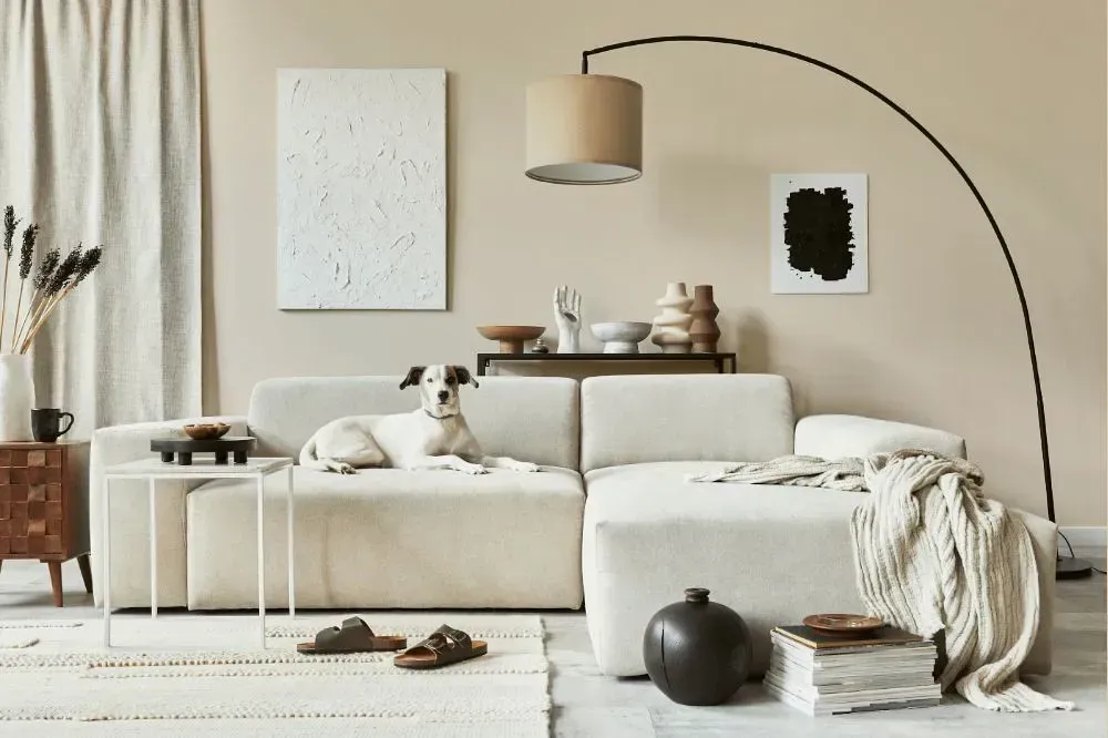 NCS S 1005-Y40R cozy living room
