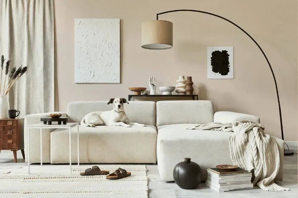 NCS S 1005-Y50R cozy living room