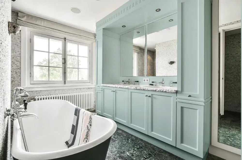 NCS S 1010-B50G victorian bathroom paint