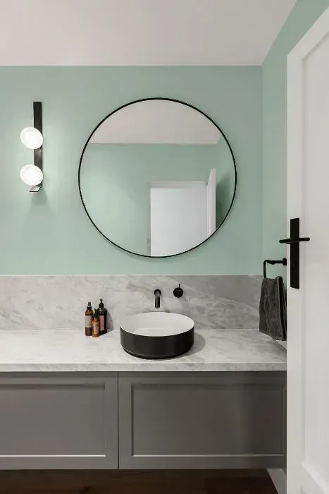 NCS S 1010-B90G minimalist bathroom