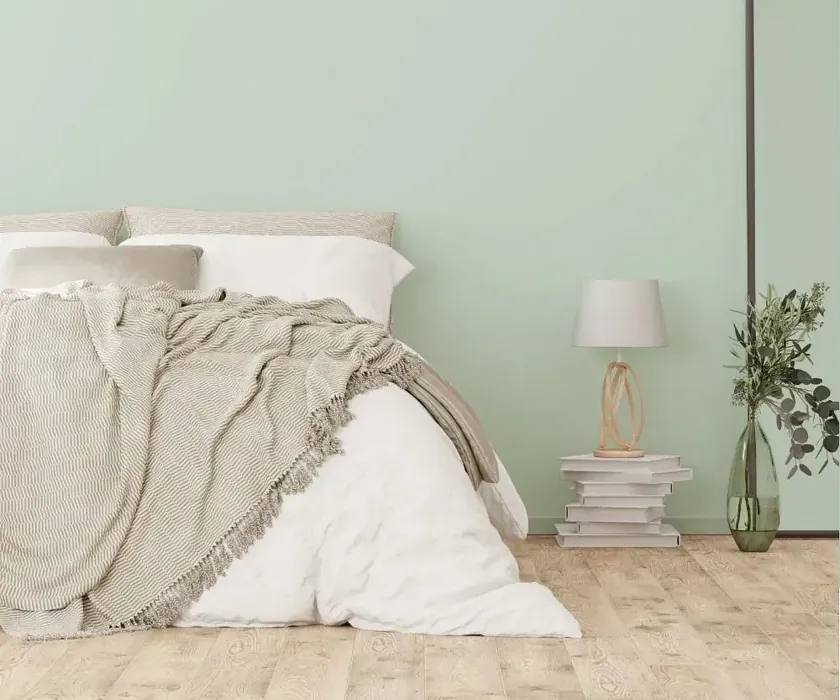 NCS S 1010-G cozy bedroom wall color