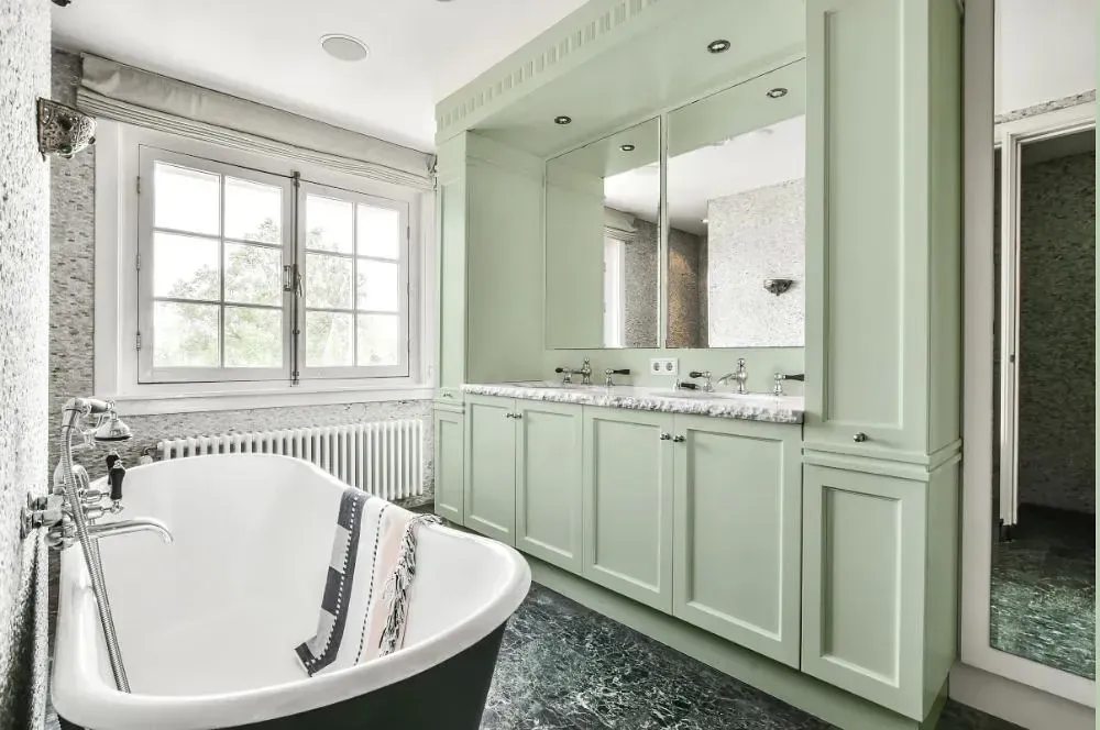 NCS S 1010-G20Y victorian bathroom paint