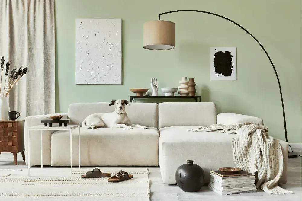 NCS S 1010-G30Y cozy living room