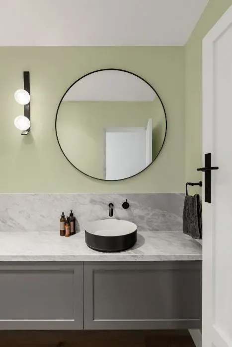 NCS S 1010-G50Y minimalist bathroom
